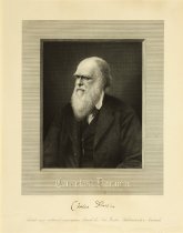 Portrait of Charles Darwin